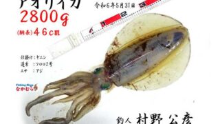 2024年5月31日 釣人：村野公彦 様 | 釣りエサ・釣具 フィッシング